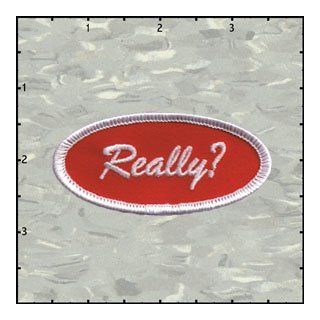 Name Tag Really Novelty Embroidered Iron On Badge Applique Patch FD