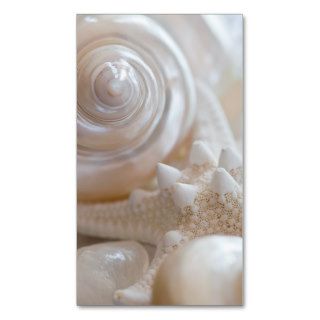 Sea Shell & Starfish Background   Beach Shells Business Card Templates