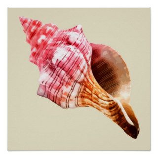 Pink Sandy Conch Shell Posters