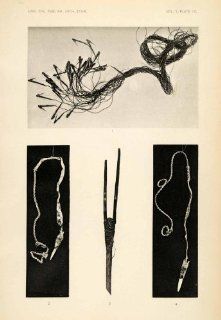 1904 Heliogravure Hoopa Valley Indian California Spear Fishing Hooks Heads Shaft   Original Heliogravure   Prints