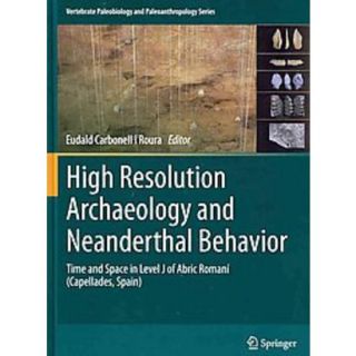 High Resolution Archaeology and Neanderthal Beha