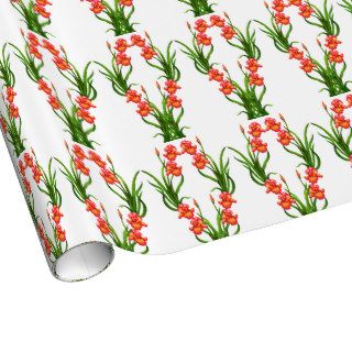 Red Bearded Iris Flowers Wrapping Paper
