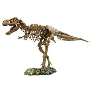 Elenco Science Tech T Rex Skeleton 36" Scale Replica Model Toys & Games