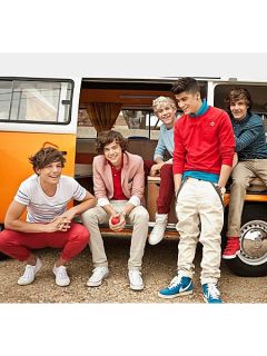 1Wall One direction campervan wall mural