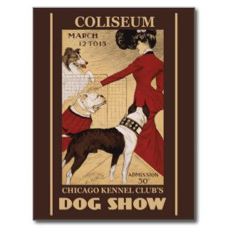 Collectible Restored Chicago Dog Show Post Card