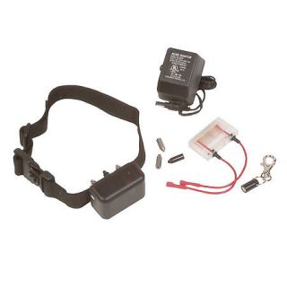 D.T. Systems No Bark Trainer Collar 401034