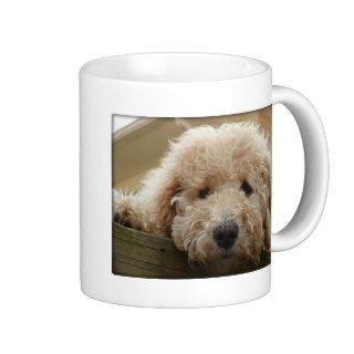 Lab a doodle gifts coffee mugs