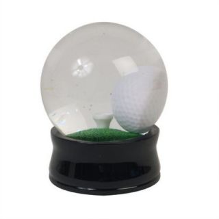 Get the Golf Ball on the Tee Water Globe
