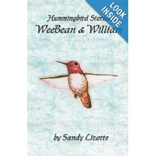 Hummingbird Stories   WeeBean & William Hummingbird baby and a little boy Sandy Lizotte, Mike Biallas 9781448651856 Books