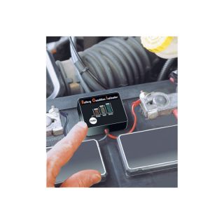 BatteryMINDer Charger/Maintainer/Desulfator — 1.3 Amp, 12 Volt, Model# 12117
