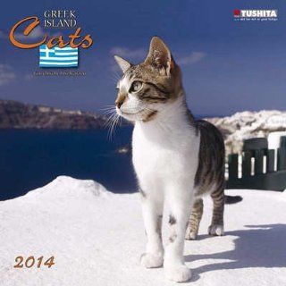 Greek Island Cats   2014 Calendar   Wall Calendars