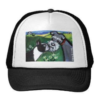 Boston Terrier & Schnauzer sniff Hats