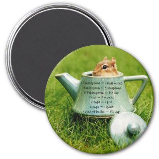 Teapot Chipmunk Measurement Equivalents Magnet