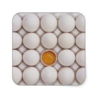 Eggs Square Sticker