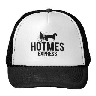 HOT MESS EXPRESS PARODY HAT