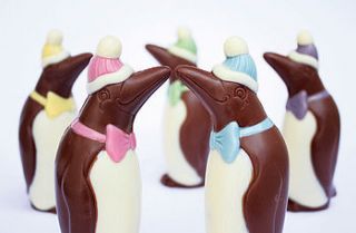 chocolate penguin by madame oiseau fine chocolates
