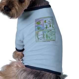 Life Cycle Of A Typical Moss (Bryophyte) Dog Tee Shirt