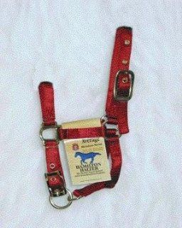 Adjustable Miniature Halter Color Red  Horse Halters  Sports & Outdoors