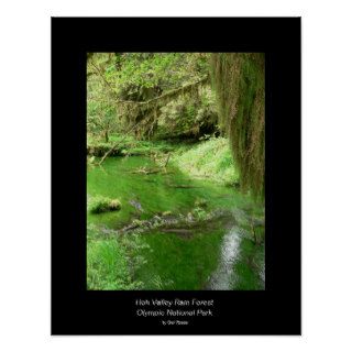 Hoh Valley Rain Forest Poster (stream)