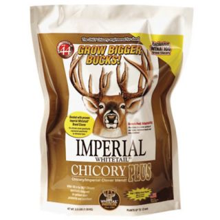 Whitetail Institute Imperial Chicory Plus 14 lbs. 413323