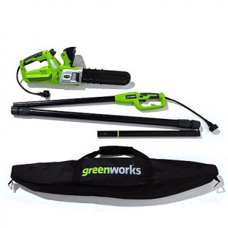 GreenWorks 10" 2 in 1 Corded Pole Saw/Chain Saw with Carry Bag