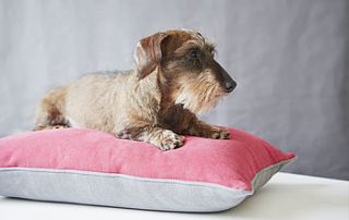 luxury linen union dog bed by bottle green homes