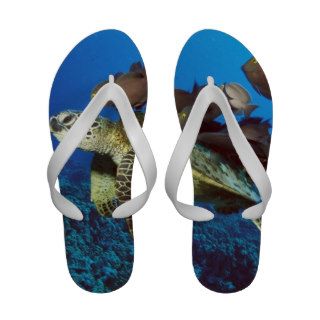 Sea Turtle Flip Flops