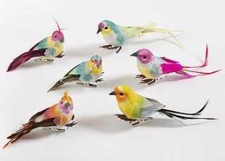 set of six feather bird clip on decorations by petra boase