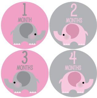 Pink Elephant Girl Baby Month Stickers for Bodysuit #25  Childrens Decorative Stickers  Baby