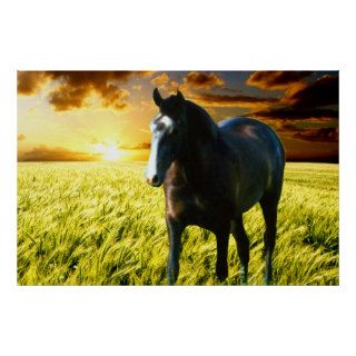 MORISCO AT SUNSET Poster