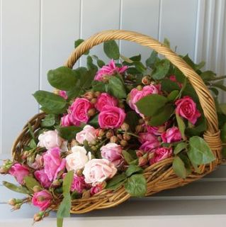 just scented pink roses by the artisan dried flower company