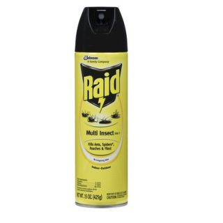 Raid® Multi Insect Killer 7 Indoor Outdoor S