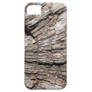 Picture of Old Tree Stump Wood iPhone 5 Covers