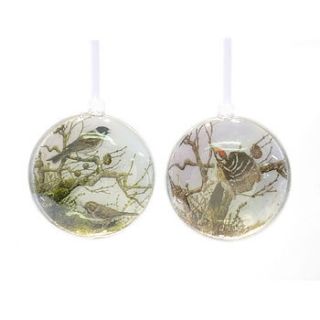 ornithological themed hanging baubles by lindsay interiors