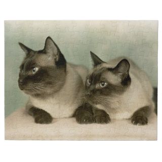 A pair of Siamese cats, Newton, Massachusetts Jigsaw Puzzles