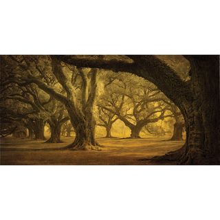 William Guion Oak Alley West Row' Stretched Canvas Canvas