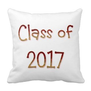 TEE Class of 2017 Pillow