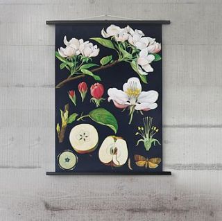 vintage botanical apple tree wall chart by wallography