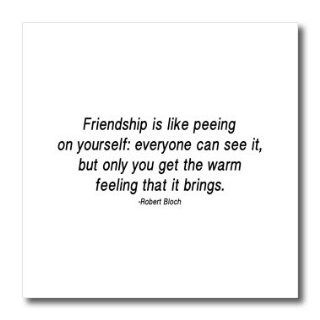 ht_173285_2 ToryAnne Collections Quotes   Friendship is like peeing on yourself   Iron on Heat Transfers   6x6 Iron on Heat Transfer for White Material Patio, Lawn & Garden