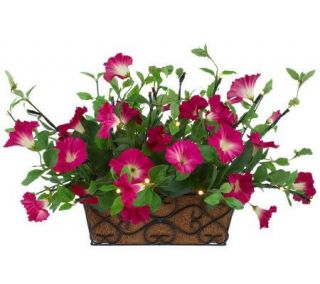 BethlehemLights BatteryOperated Solutions Petunia Rail Basket w/Timer —