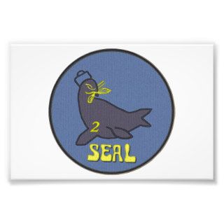 US Navy Seal Team 2 (basic) Photograph