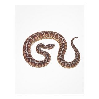 Snake Urutu Snake Letterhead