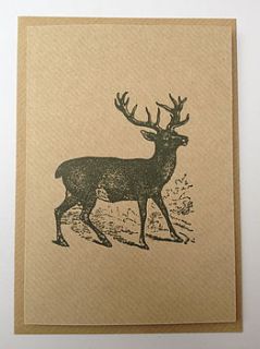 stag greeting note card by belle & thistle