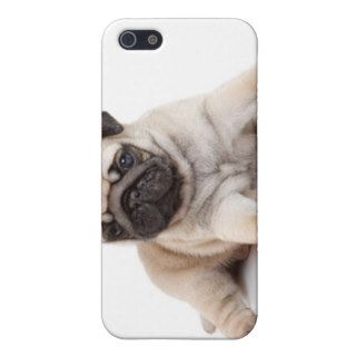 Cutest Pug Puppy Iphone 4/4s Case