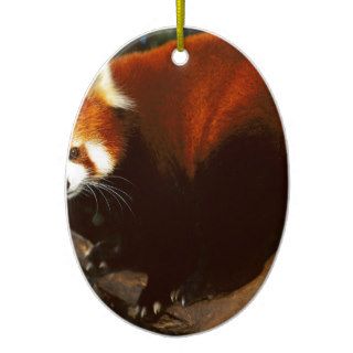 Bear Red Panda Christmas Ornaments
