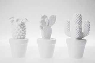 decorative cacti by i love retro