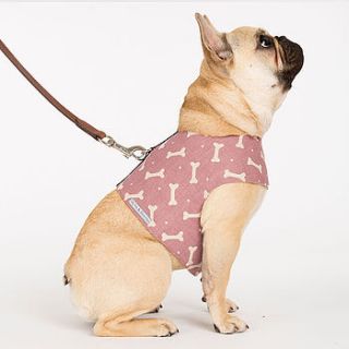 m&h bone print harness by mutts & hounds
