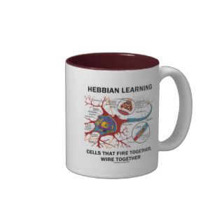 Hebbian Learning Cells Fire Together Wire Together Mugs