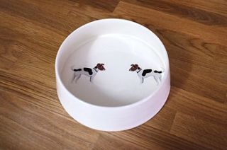 jack russell dog bowl by fenella smith