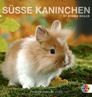 Se Kaninchen 2010. Postkartenkalender Monika Wegler Bücher